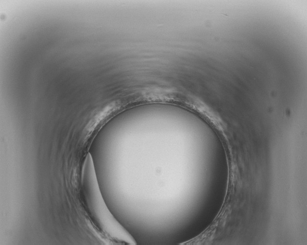 X0000060770009200511171225