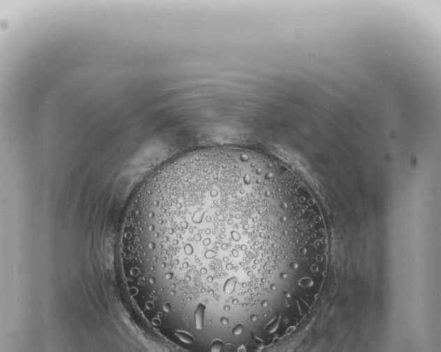 X0000060770010200511171225