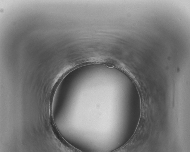 X0000060770011200511171225