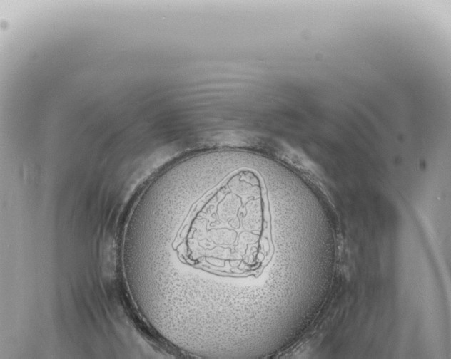 X0000060770012200511171225