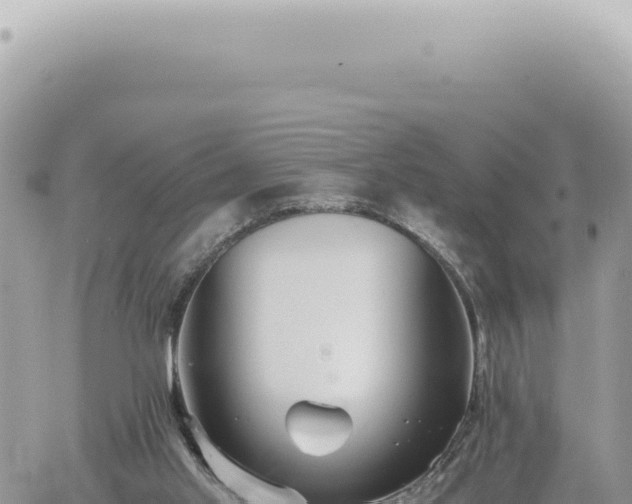 X0000060770013200511171225