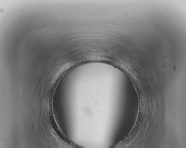 X0000060770015200511171225