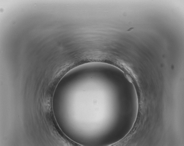 X0000060770017200511171225