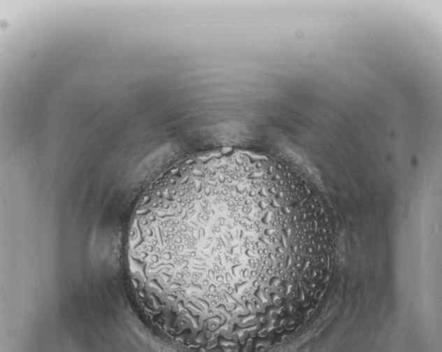 X0000060770018200511171225