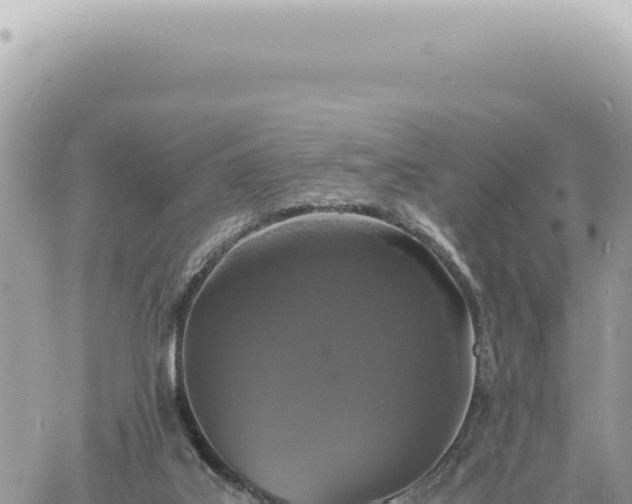 X0000060770019200511171225