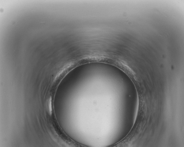 X0000060770020200511171225