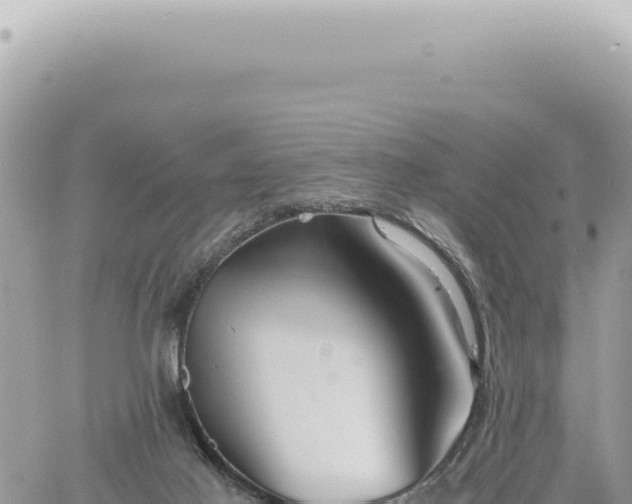 X0000060770021200511171225