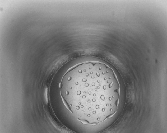 X0000060770022200511171225