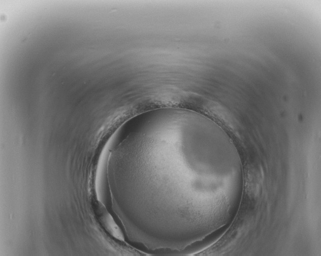 X0000060770023200511171225