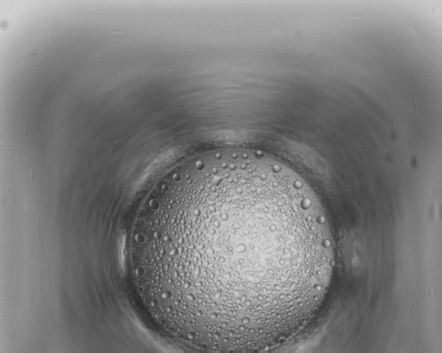 X0000060770024200511171225