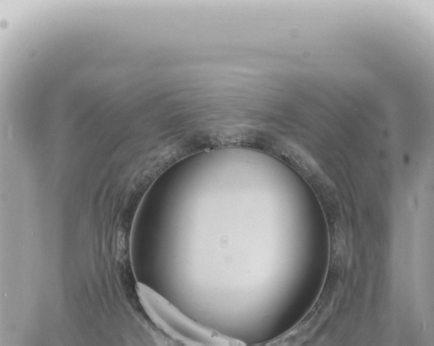 X0000060770025200511171225