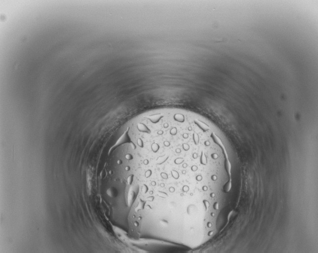 X0000060770026200511171225