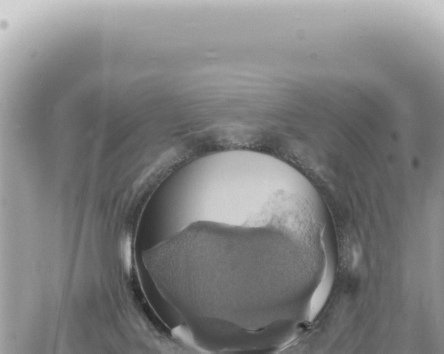 X0000060770027200511171225