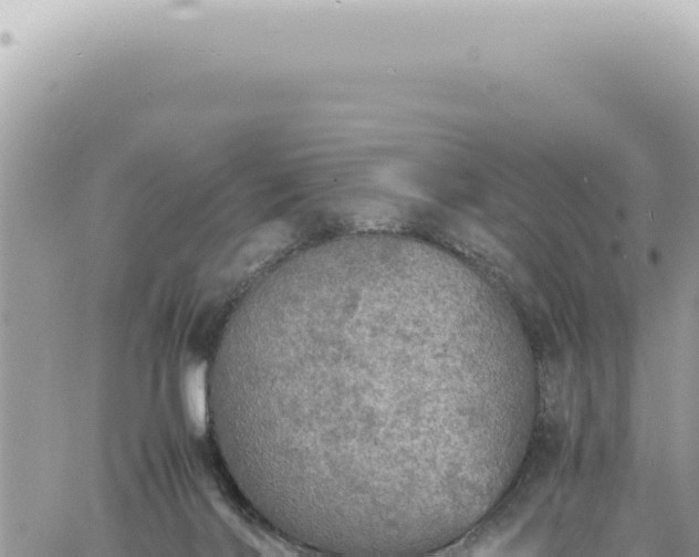 X0000060770028200511171225