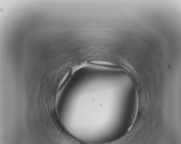 X0000060770029200511171225