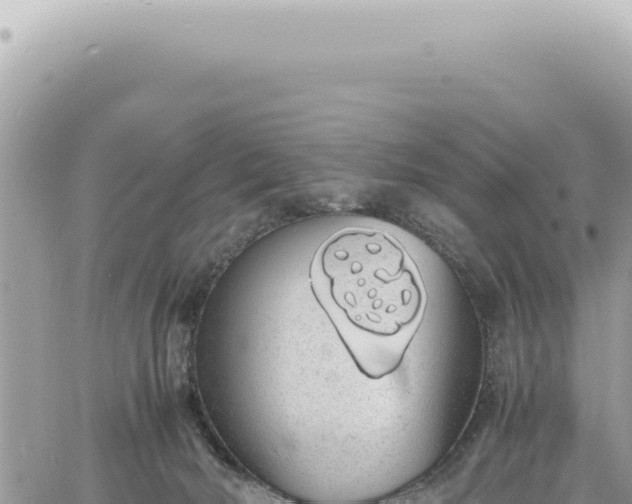 X0000060770030200511171225