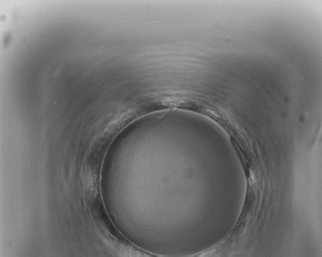 X0000060770031200511171225