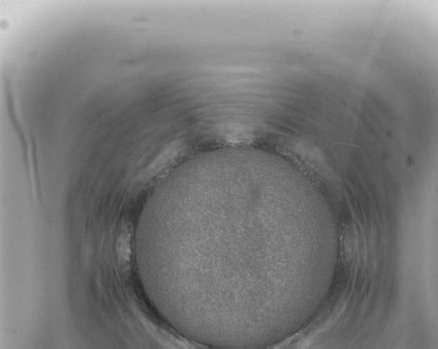 X0000060770032200511171225