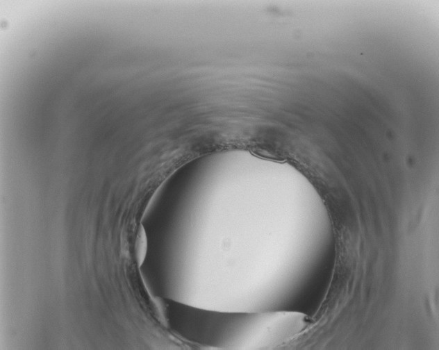 X0000060770033200511171225