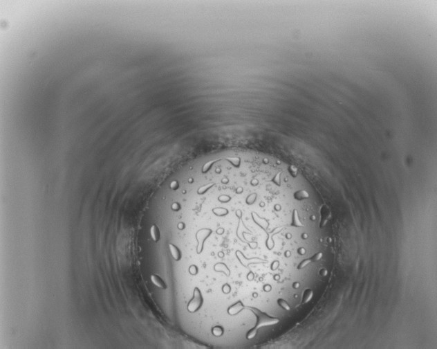 X0000060770034200511171225