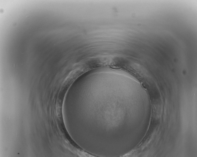 X0000060770035200511171225