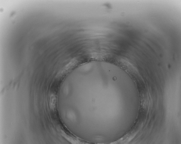 X0000060770036200511171225