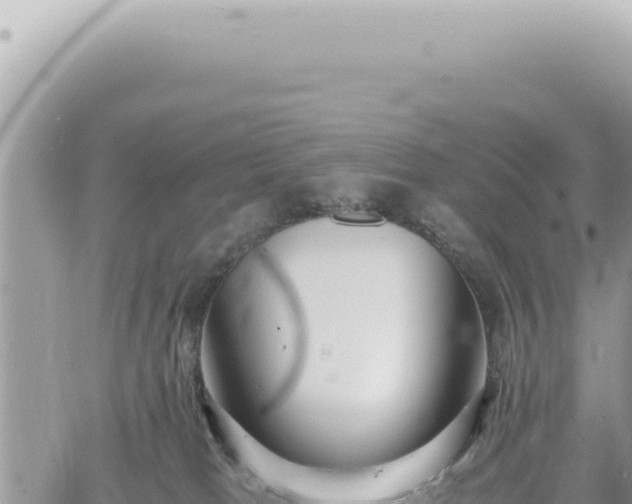 X0000060770037200511171225