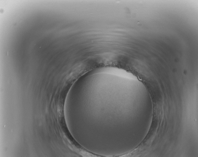 X0000060770039200511171224