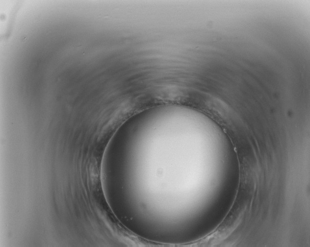 X0000060770040200511171224