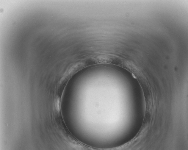 X0000060770041200511171224