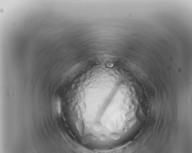 X0000060770042200511171224