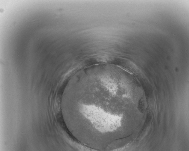 X0000060770043200511171224