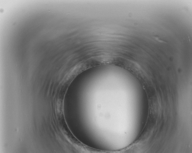 X0000060770044200511171224