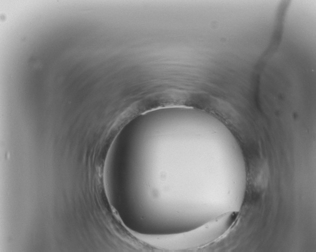 X0000060770045200511171224