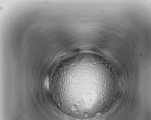 X0000060770046200511171224