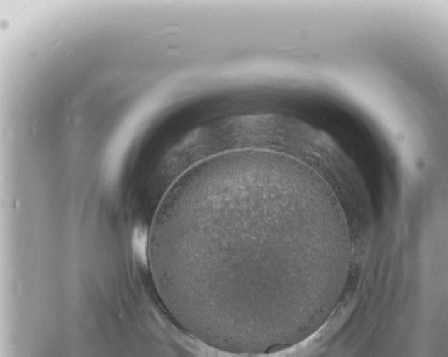 X0000060770047200511171224