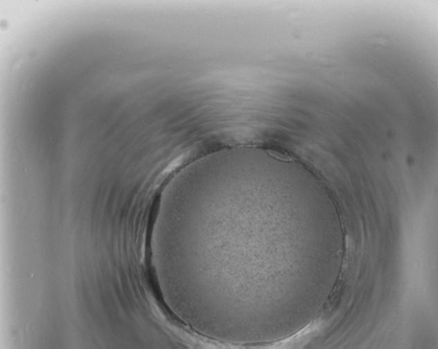 X0000060770048200511171224