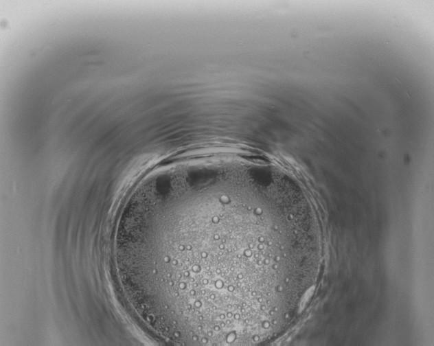 X0000060770049200511171224