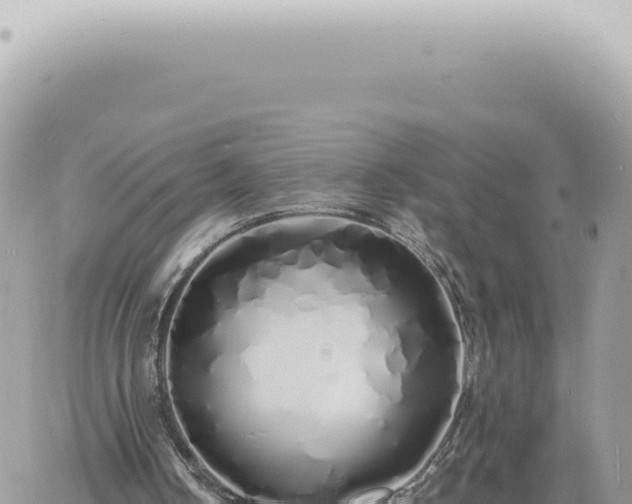 X0000060770050200511171224