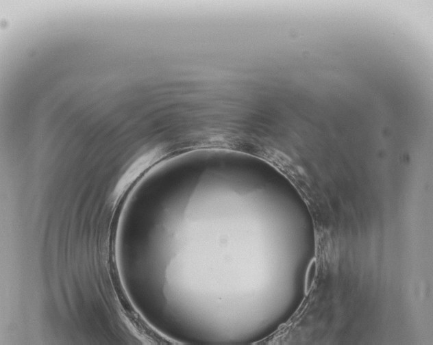 X0000060770051200511171224