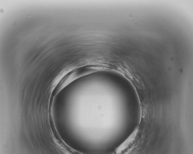 X0000060770052200511171224