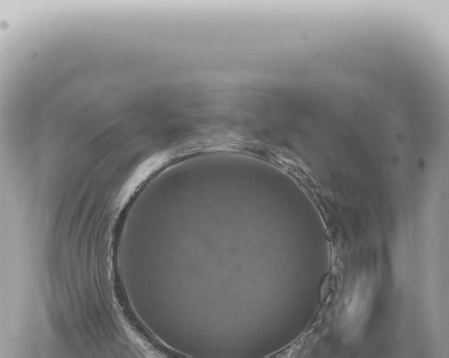 X0000060770054200511171224