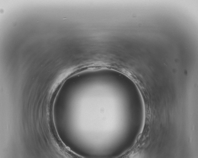 X0000060770055200511171224