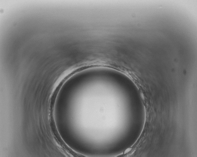 X0000060770056200511171224