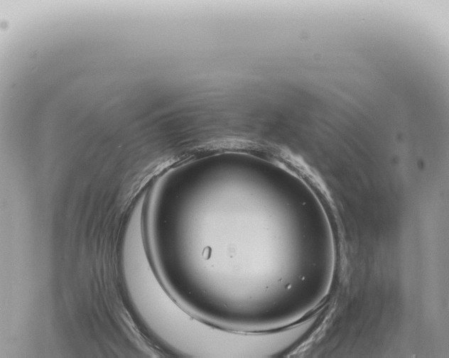 X0000060770057200511171224