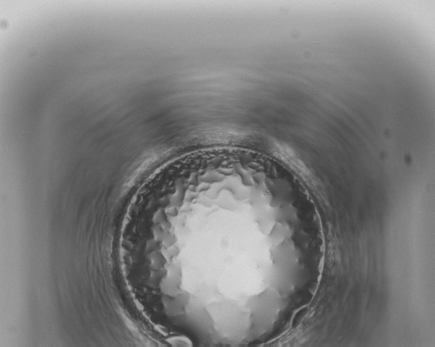 X0000060770058200511171224