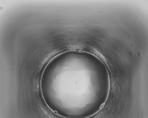 X0000060770059200511171224