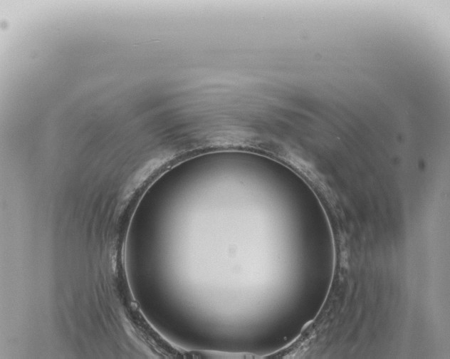 X0000060770060200511171224