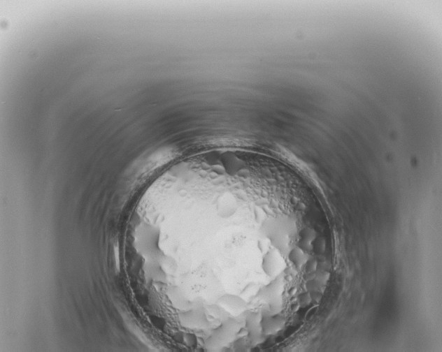 X0000060770061200511171224