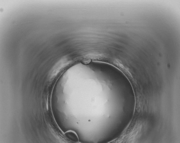 X0000060770062200511171224